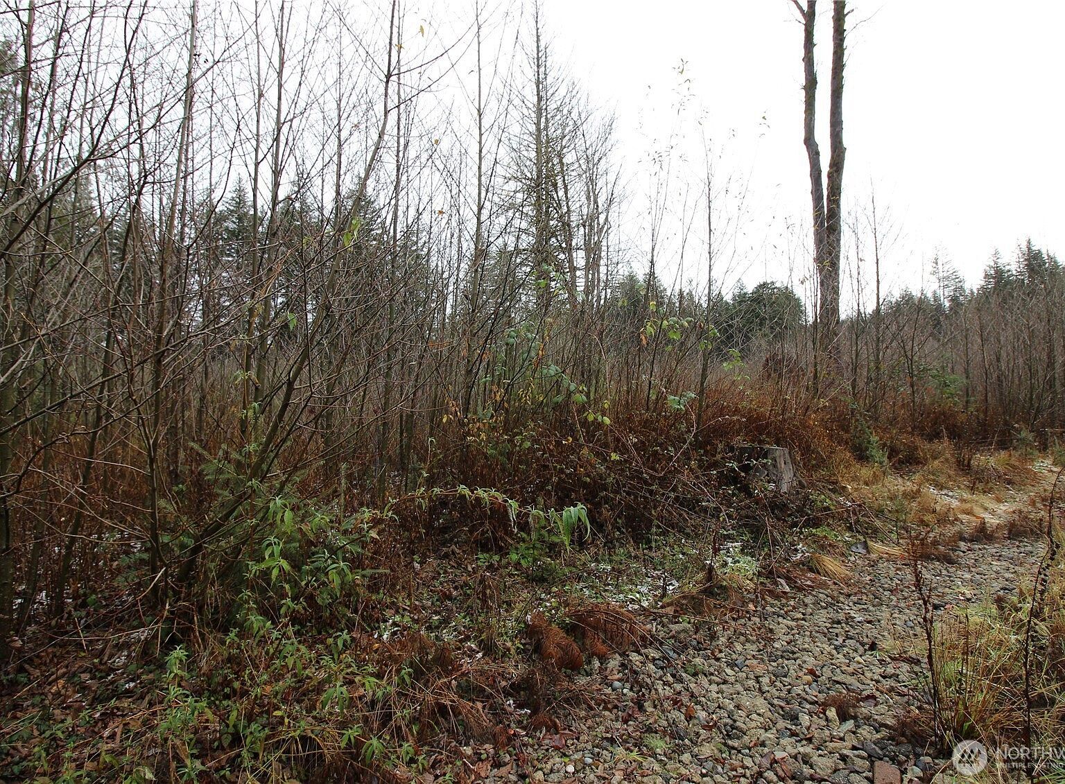 0 364th Ave SE #9015 Maple Valley, WA 98038 - Thumbnail 4