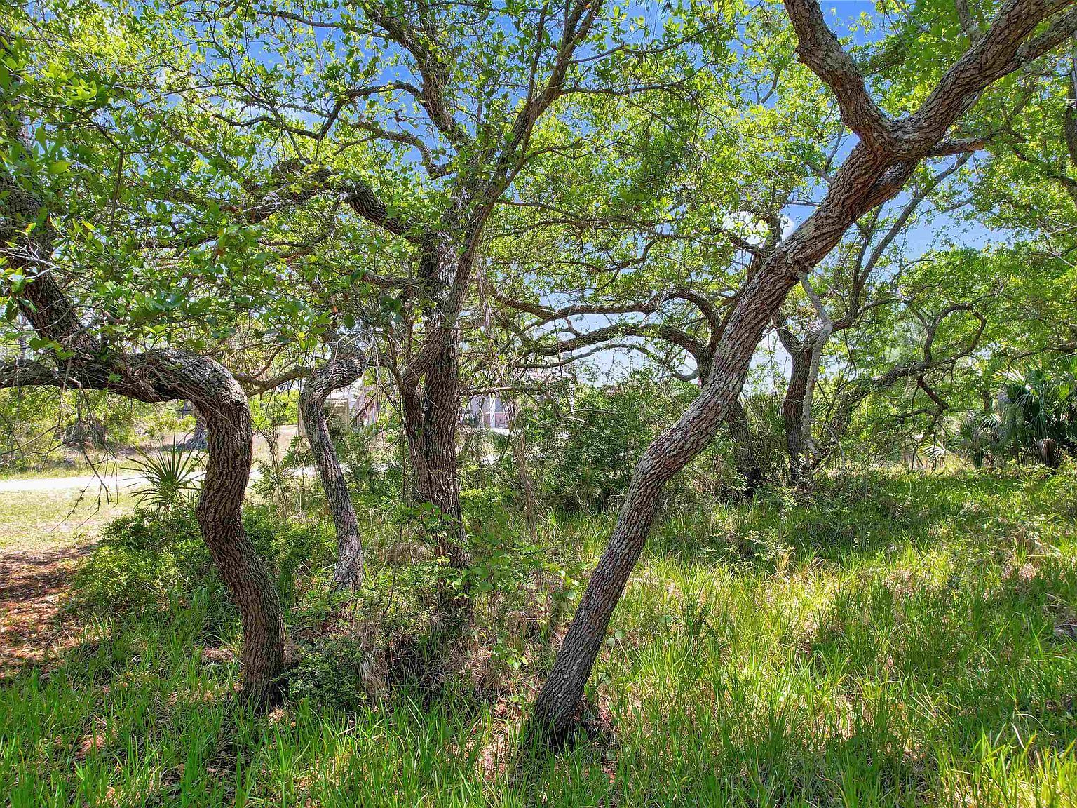 LOT 4 Pelican St Panacea, FL 32346 - Thumbnail 4