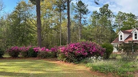 538 W Fairfield Rd Dillon, SC 29536 - Thumbnail 4