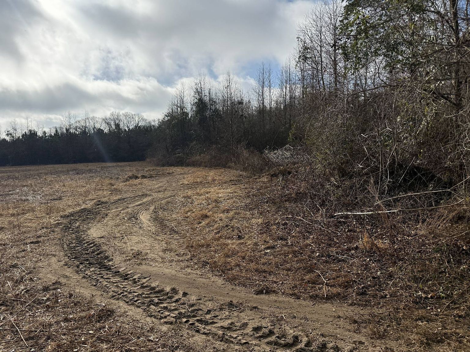 550 Deer Ln Bennettsville, SC 29512 - Thumbnail 4