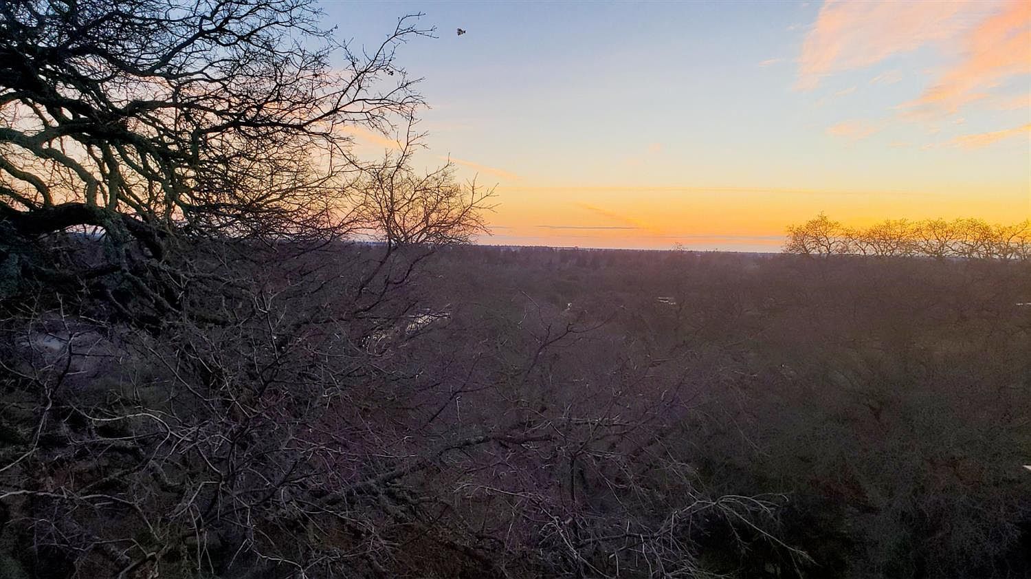 8764 Bluff Ln Fair Oaks, CA 95628 - Thumbnail 4