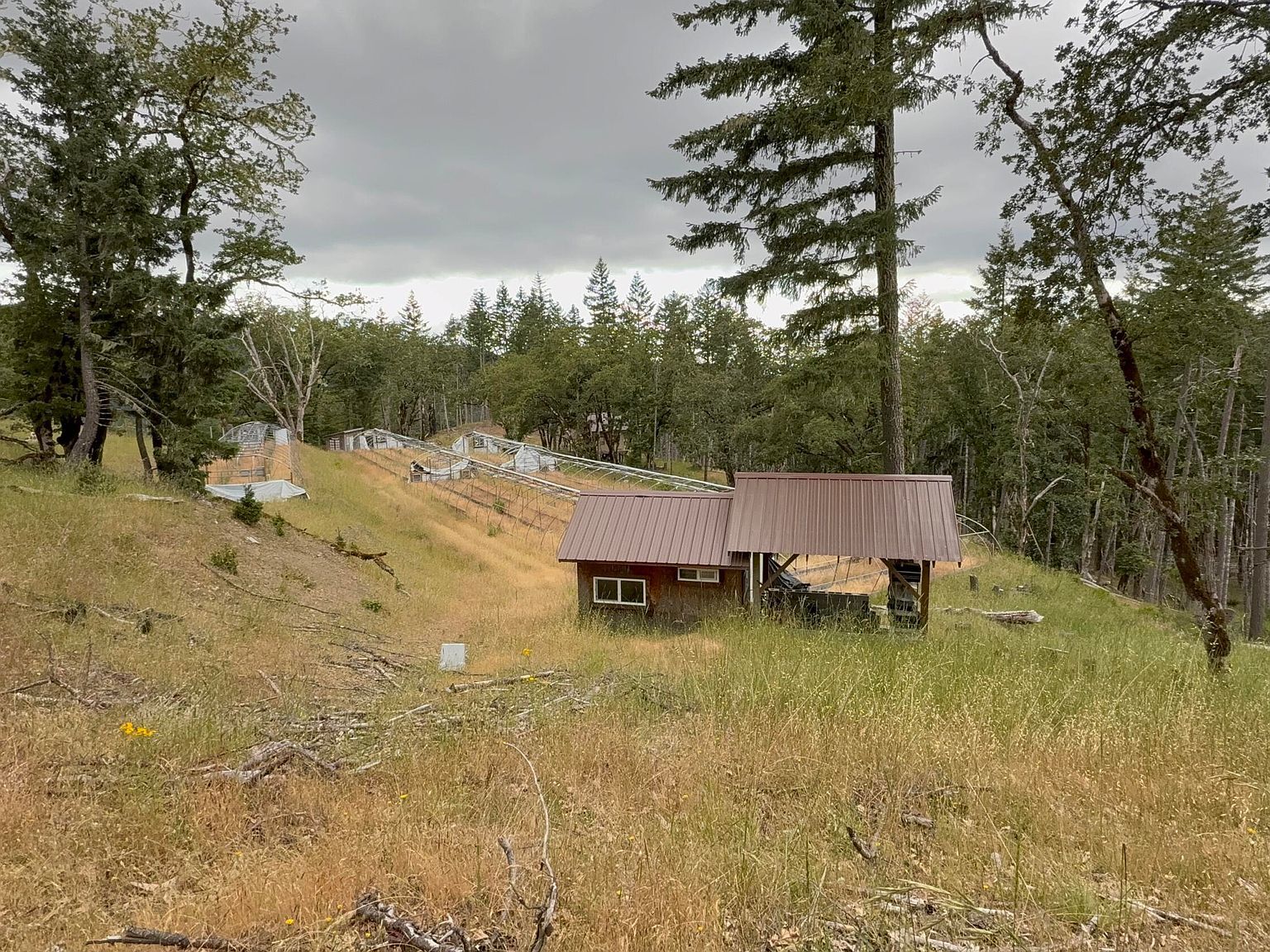 33000 State Highway 36 Bridgeville, CA 95526 - Thumbnail 4