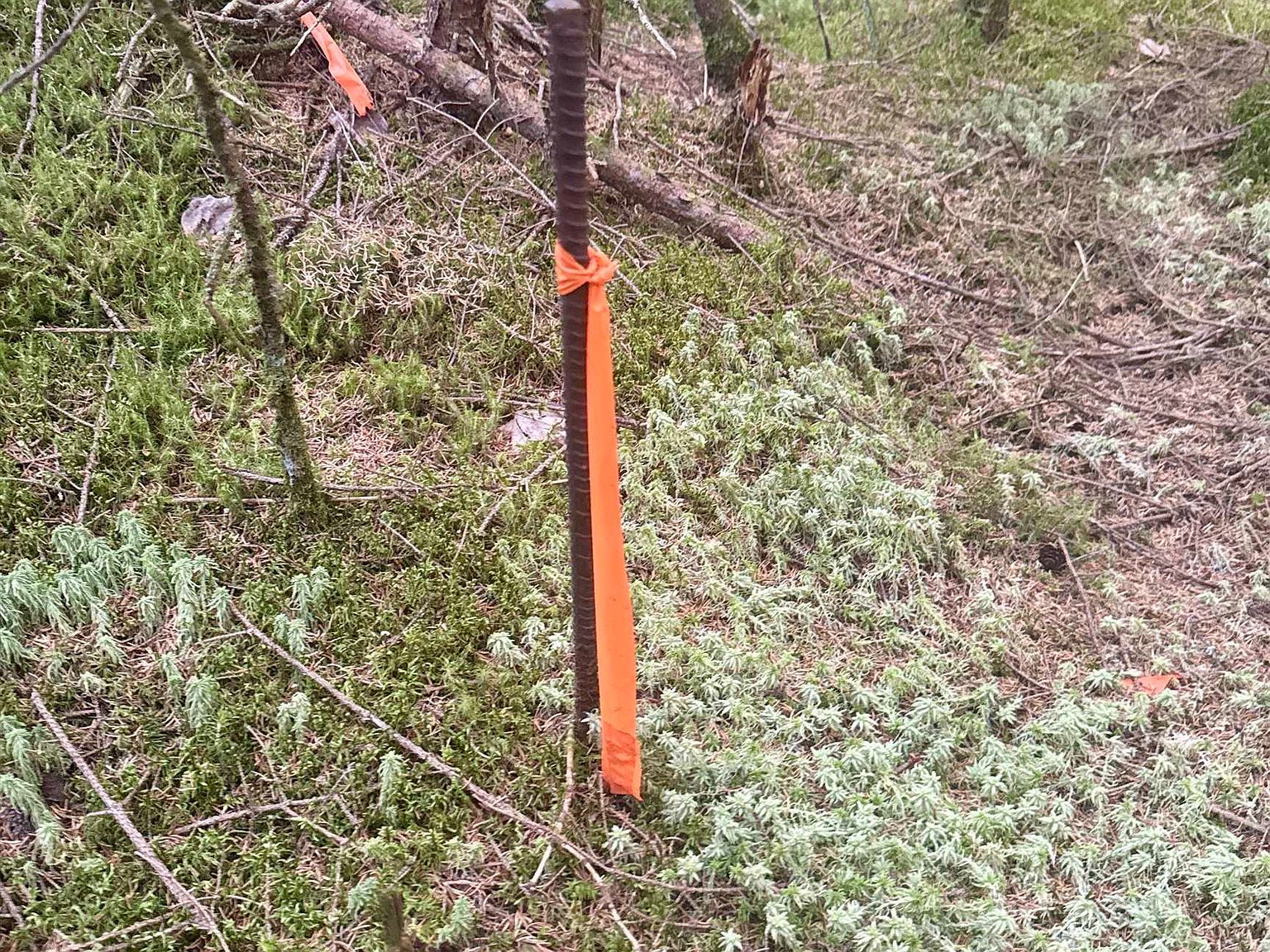 0 Thorn Hill Rd #406/22 Bethlehem, NH 03574 - Thumbnail 4