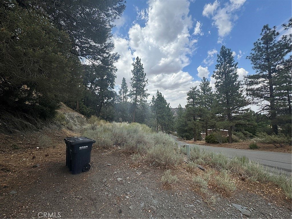 1772 Ash Rd Wrightwood, CA 92397 - Thumbnail 4