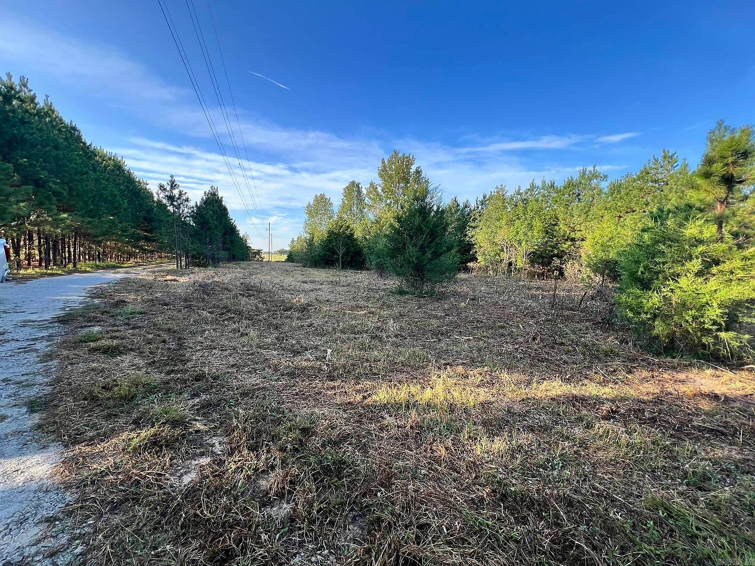 116 Cardin Cir Enola, AR 72047 - Thumbnail 4