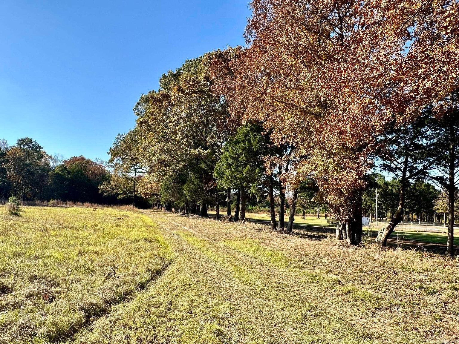 150 Holloway Ln Greenbrier, AR 72058 - Thumbnail 4