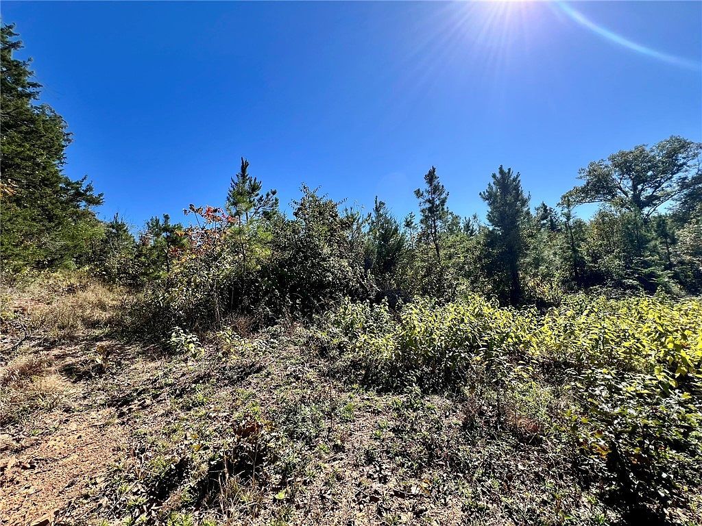 1011 Granny Hollar Rd Atkins, AR 72823 - Thumbnail 4