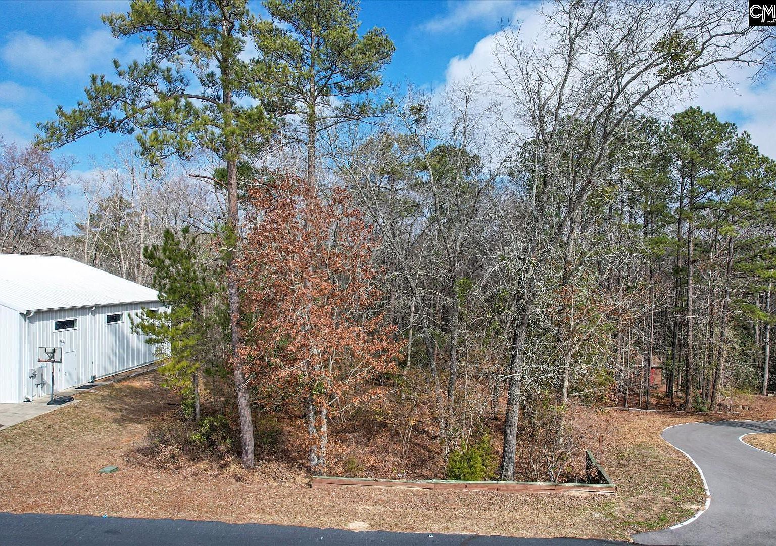 206 Cirrus Way Gilbert, SC 29054 - Thumbnail 4