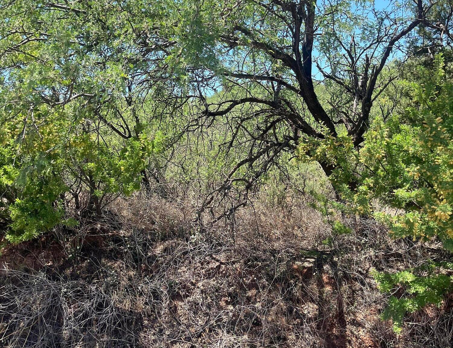 952 Calle Gomez Rio Rico, AZ 85648 - Thumbnail 4