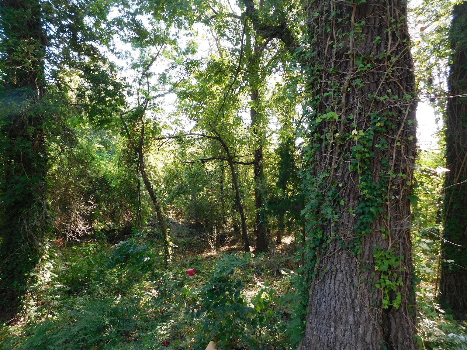 730 John Rankin Hwy Fulton, MS 38843 - Thumbnail 4