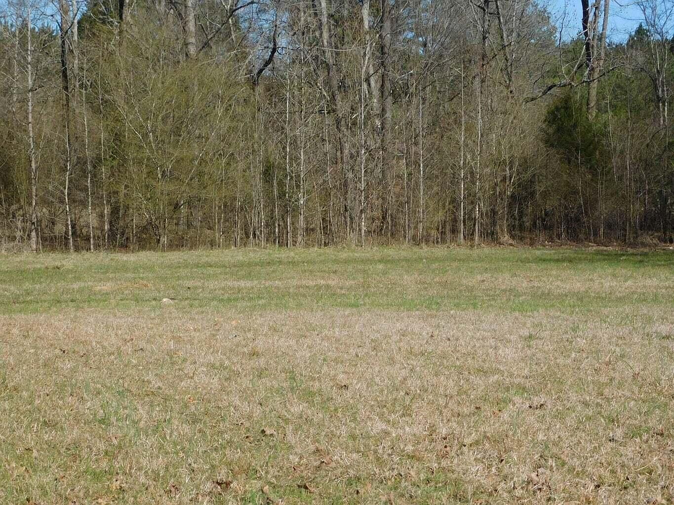 161 County Road 213 Houston, MS 38851 - Thumbnail 4