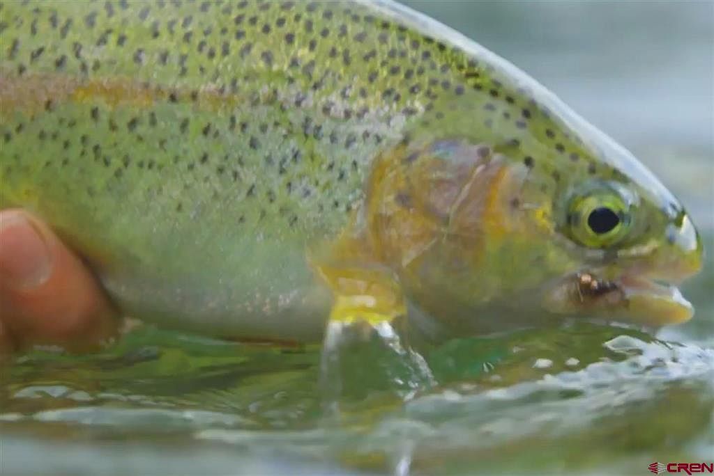 3078 Aspen Mountain Rd Gunnison, CO 81210 - Thumbnail 4