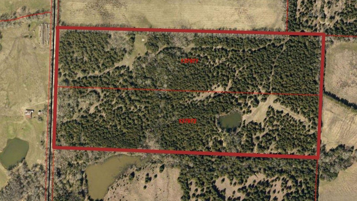 County Road 2965 Honey Grove, TX 75446 - Thumbnail 4