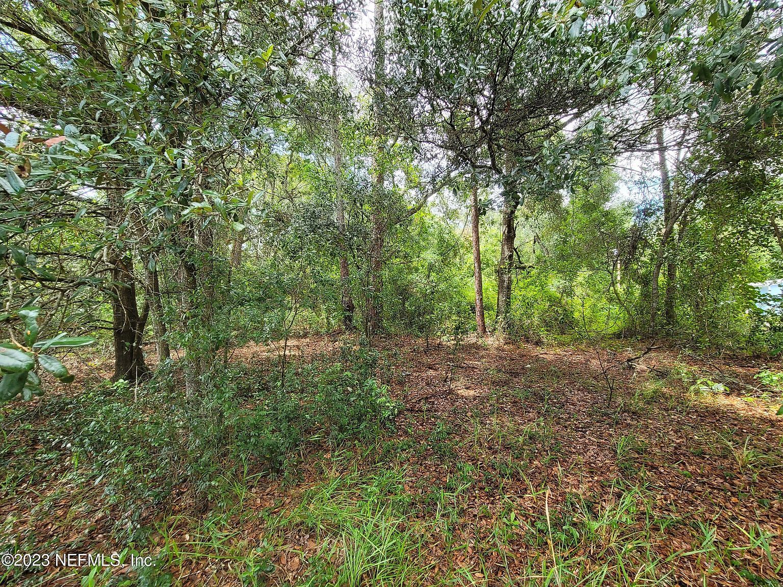 5512 Crockett Ct Keystone Heights, FL 32656 - Thumbnail 4