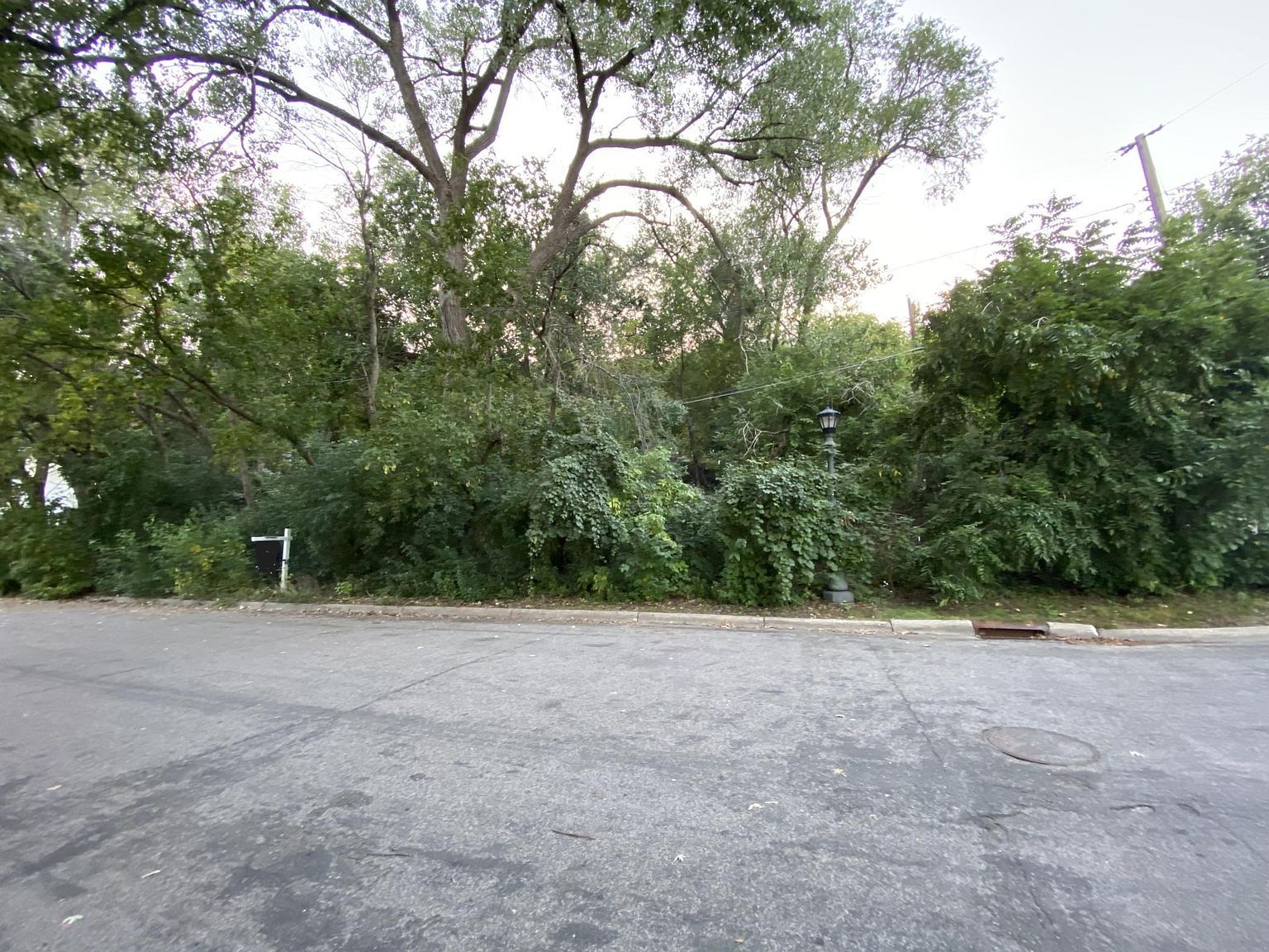 Scheffer Ave Saint Paul, MN 55116 - Thumbnail 4