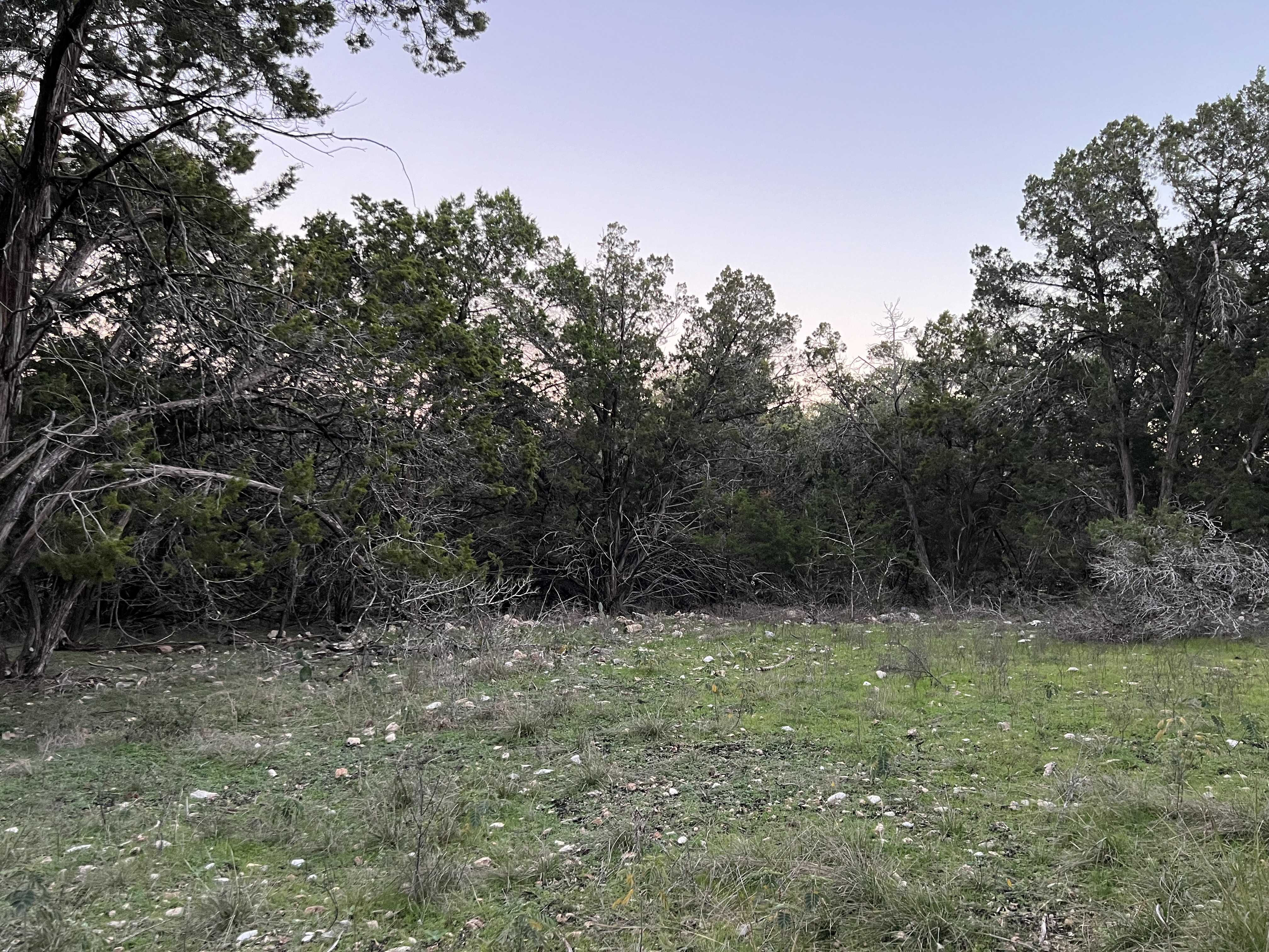 241 Longwood Drive, New Braunfels, TX, USA, 78132 - Thumbnail 4