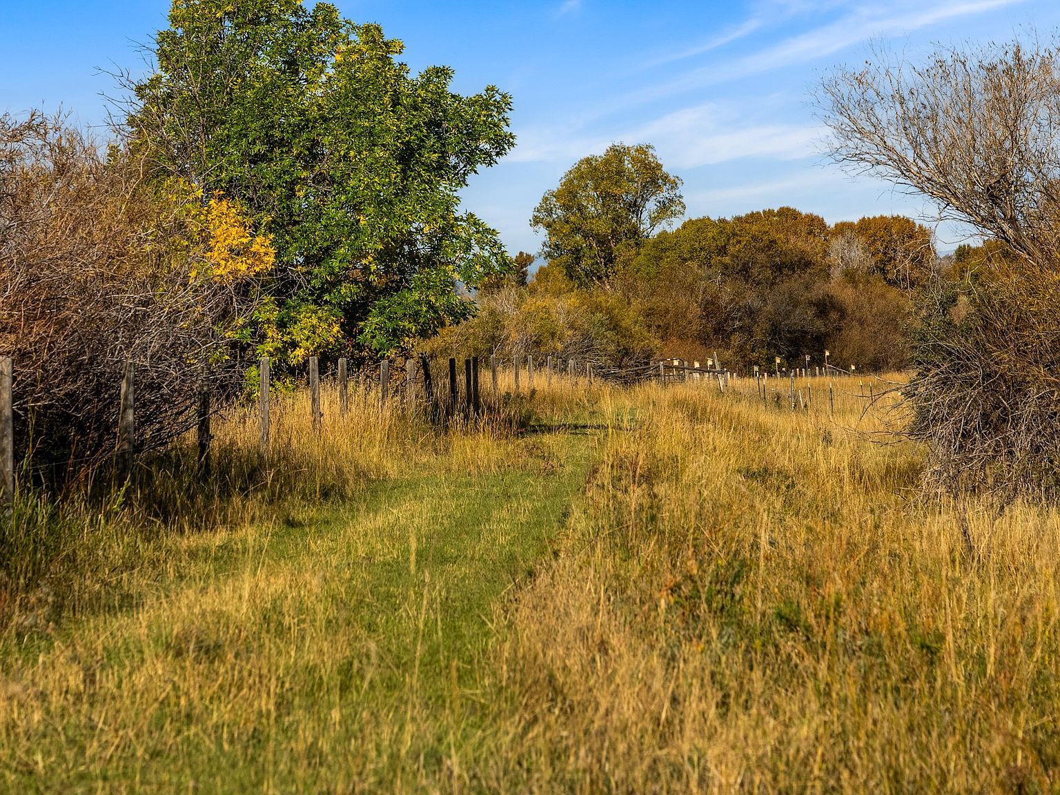 McKeown Ln Cardwell, MT 59721 - Thumbnail 4