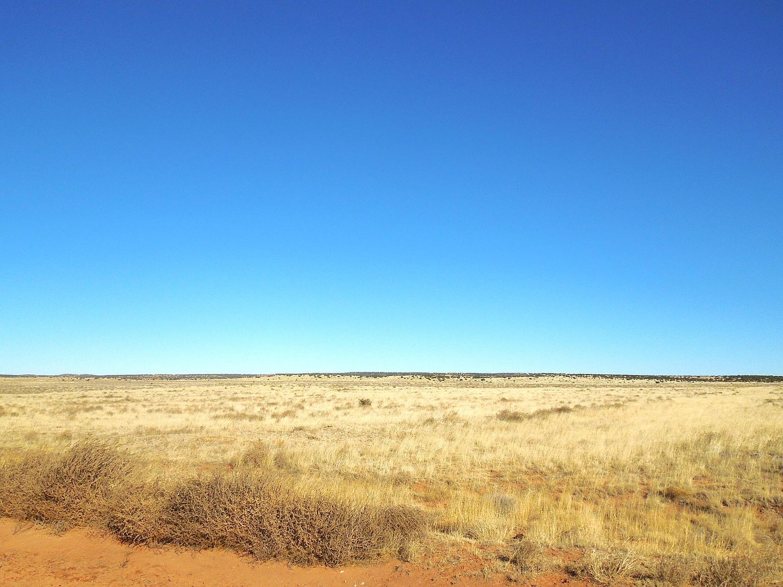 20 Tract 22 #12 Estancia, NM 87016 - Thumbnail 4