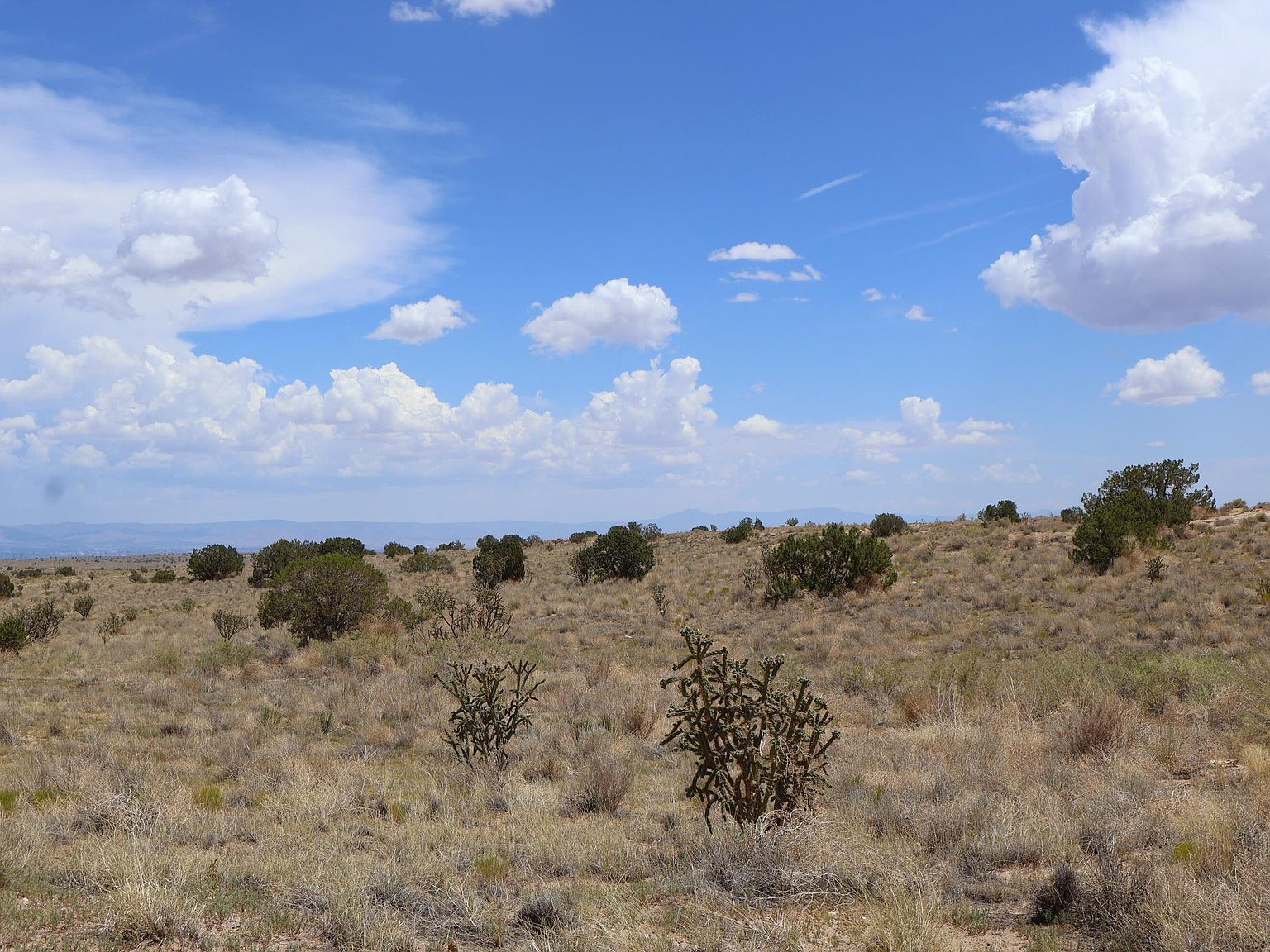 Rio Rancho Ests SW LOT 20 Rio Rancho, NM 87124 - Thumbnail 4