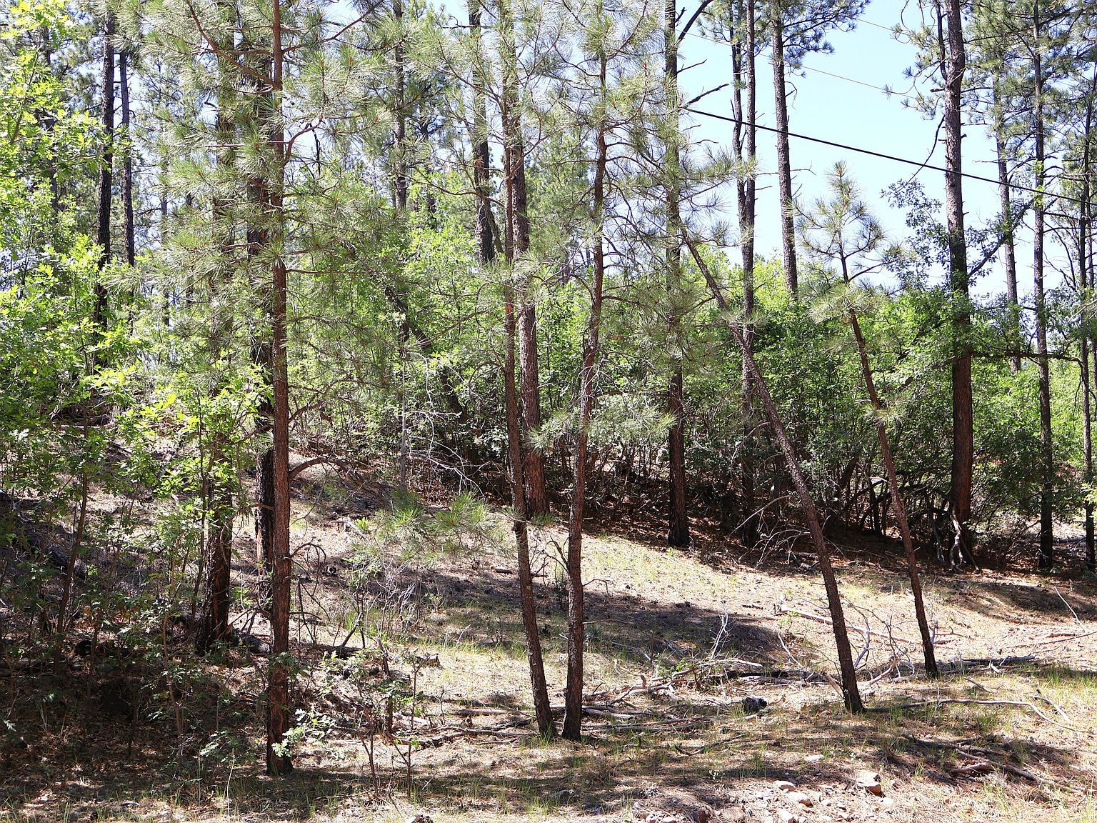 5 Sherwood Forest Dr Torreon, NM 87061 - Thumbnail 4