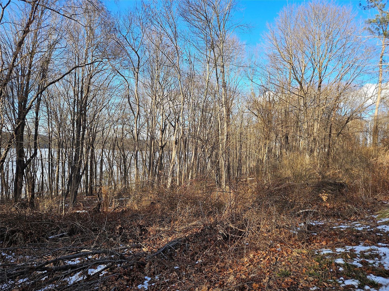 6 Willow Rd Carmel, NY 10512 - Thumbnail 4