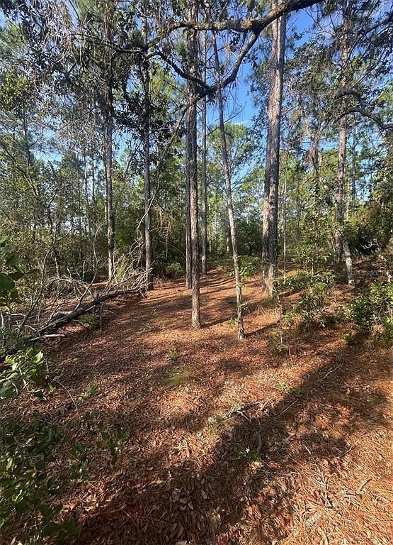 3690 W Norwick Pl #8 Dunnellon, FL 34433 - Thumbnail 4