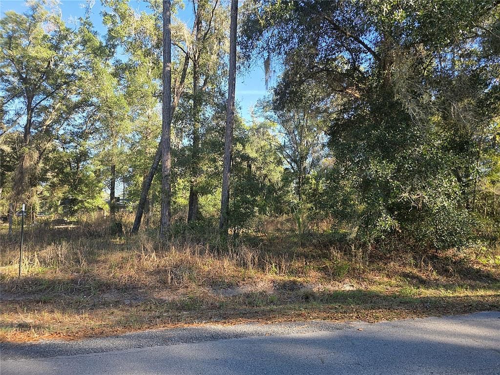 NW 120th Ave LOT 19 Ocala, FL 34482 - Thumbnail 4