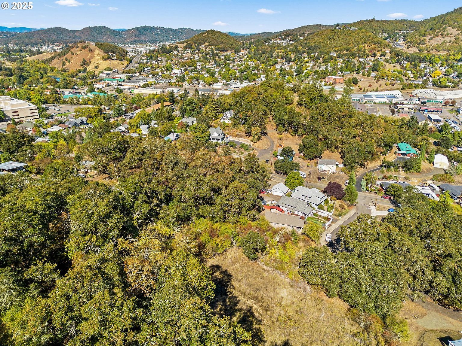 498 SE Dos Gatos Ct Roseburg, OR 97470 - Thumbnail 4