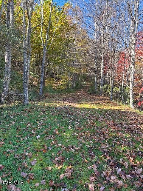 0 Country Meadow Dr Norton, VA 24273 - Thumbnail 4