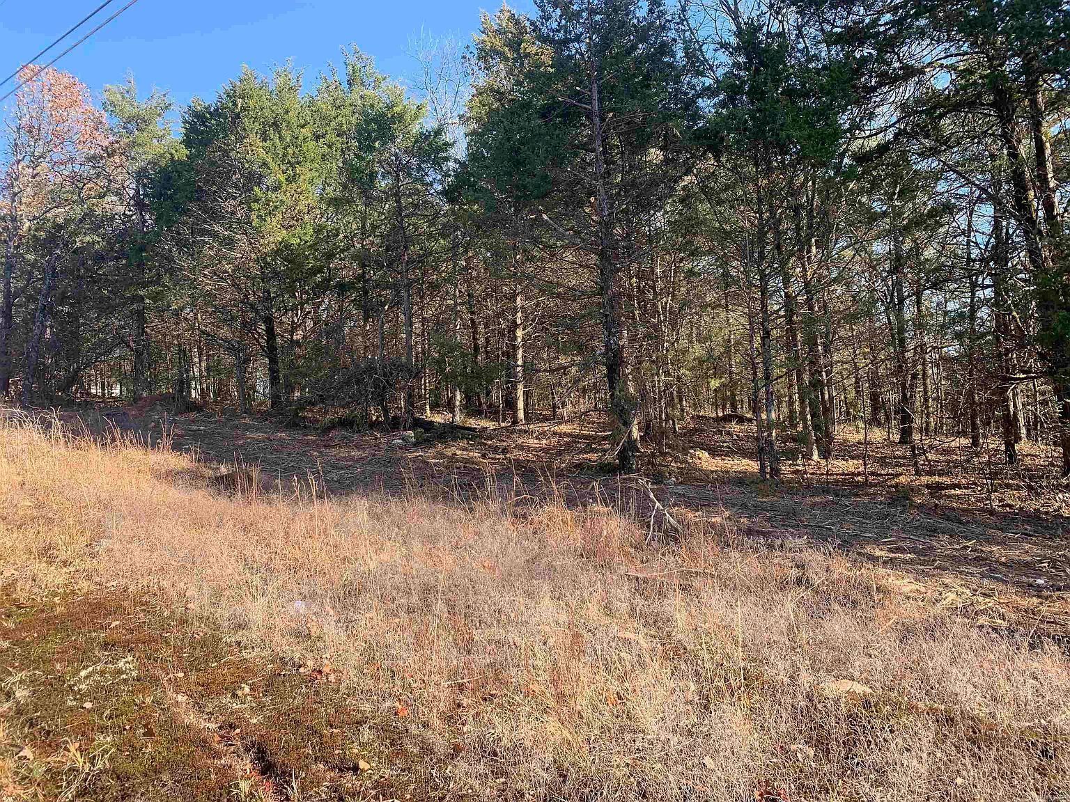 0 Rocky Parkway Lots 100 101 #&-102 Searcy, AR 72143 - Thumbnail 4