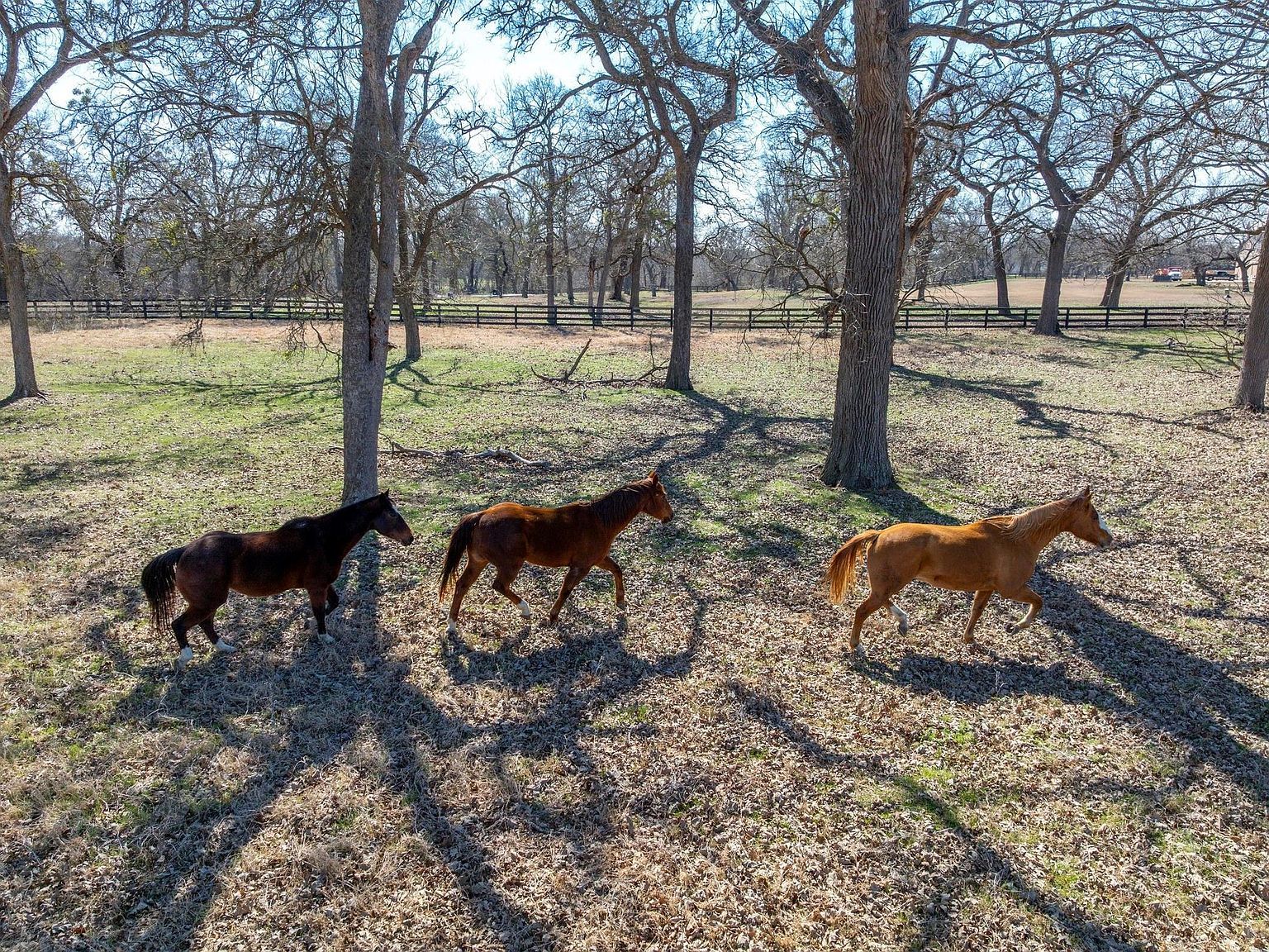 105 River Valley Dr Georgetown, TX 78626 - Thumbnail 4