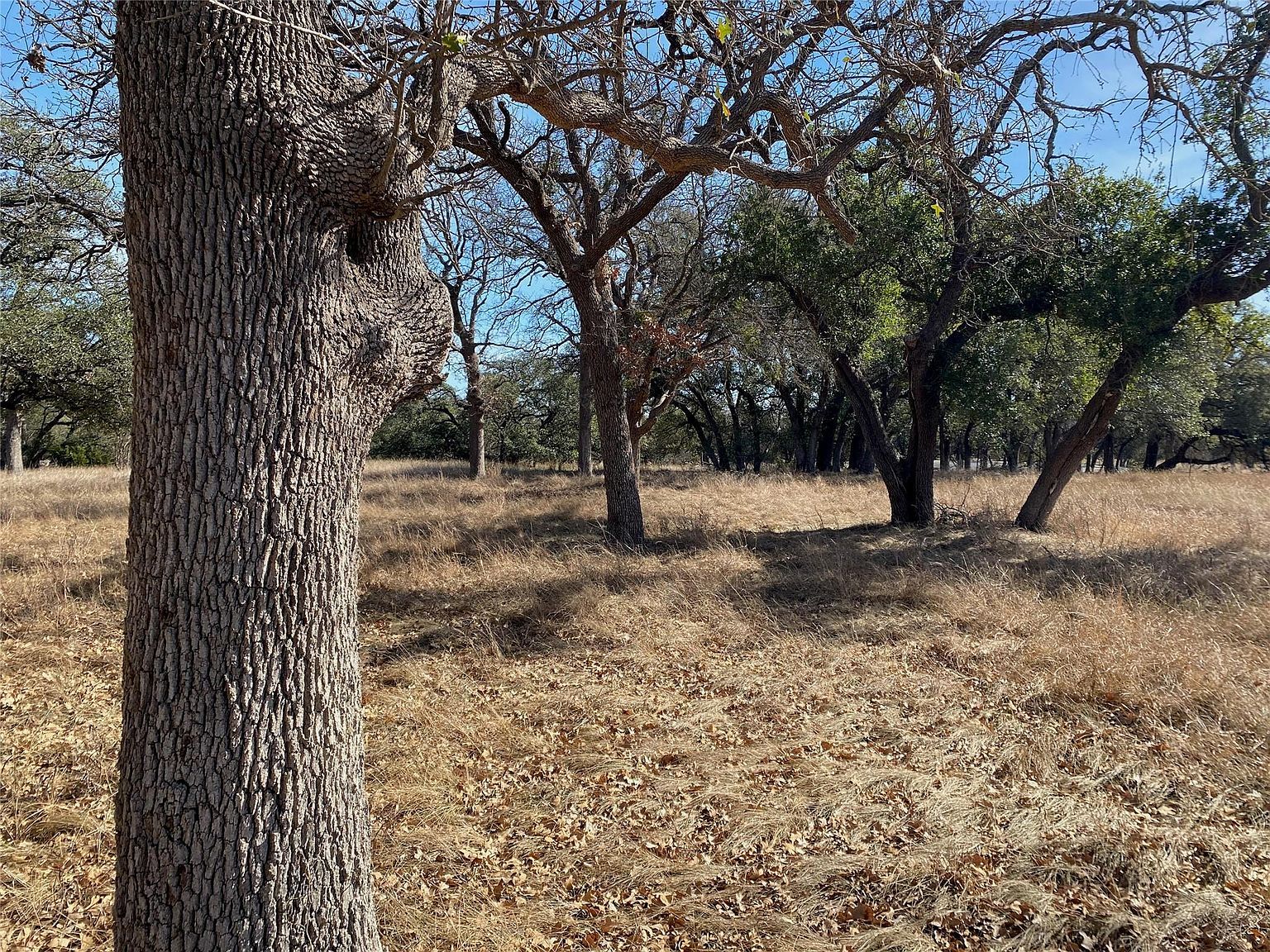 Lightning Ranch Rd Georgetown, TX 78628 - Thumbnail 4