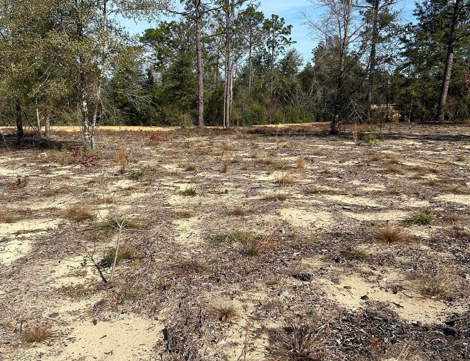 Empire Ave Alford, FL 32420 - Thumbnail 4