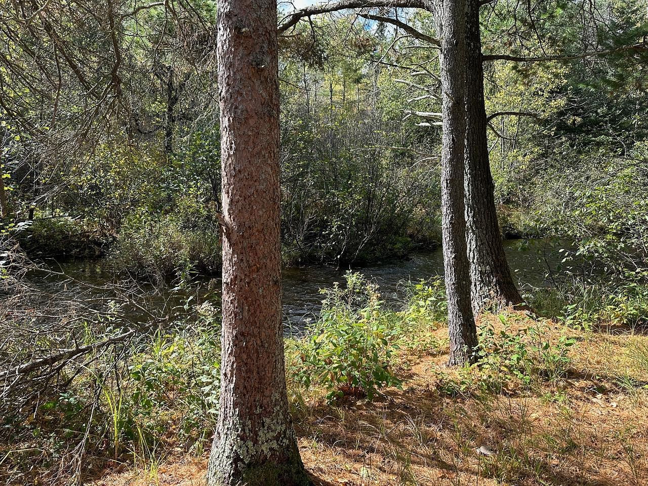 10297 Rocky Run Rd Harshaw, WI 54529 - Thumbnail 4