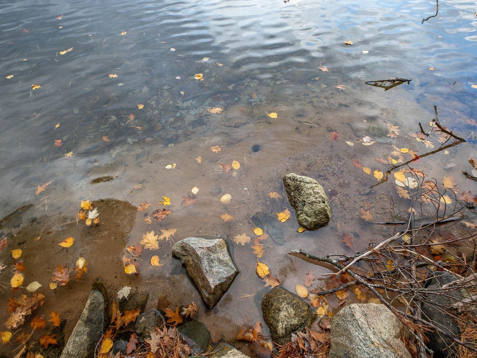 7938 S Alva Rd Harshaw, WI 54529 - Thumbnail 4