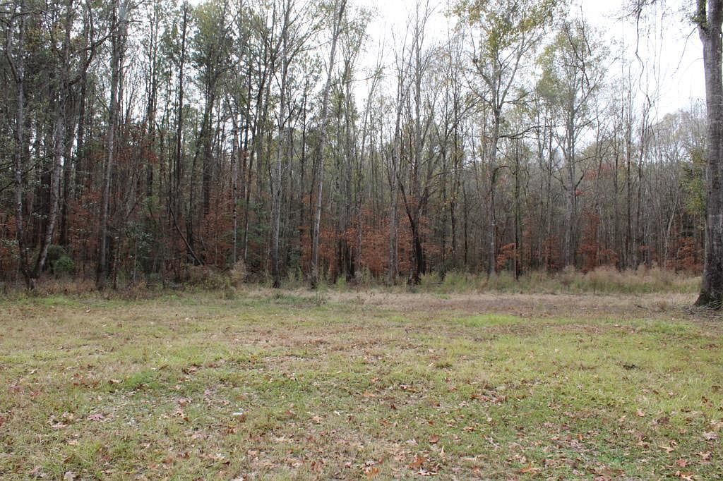 165 Dickerson McKay Dr Milam, TX 75959 - Thumbnail 4