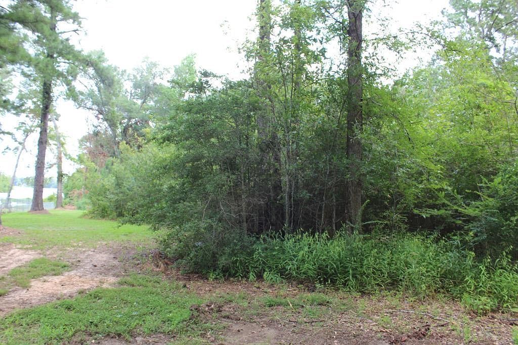 231 Palo Gaucho Xing Hemphill, TX 75948 - Thumbnail 4