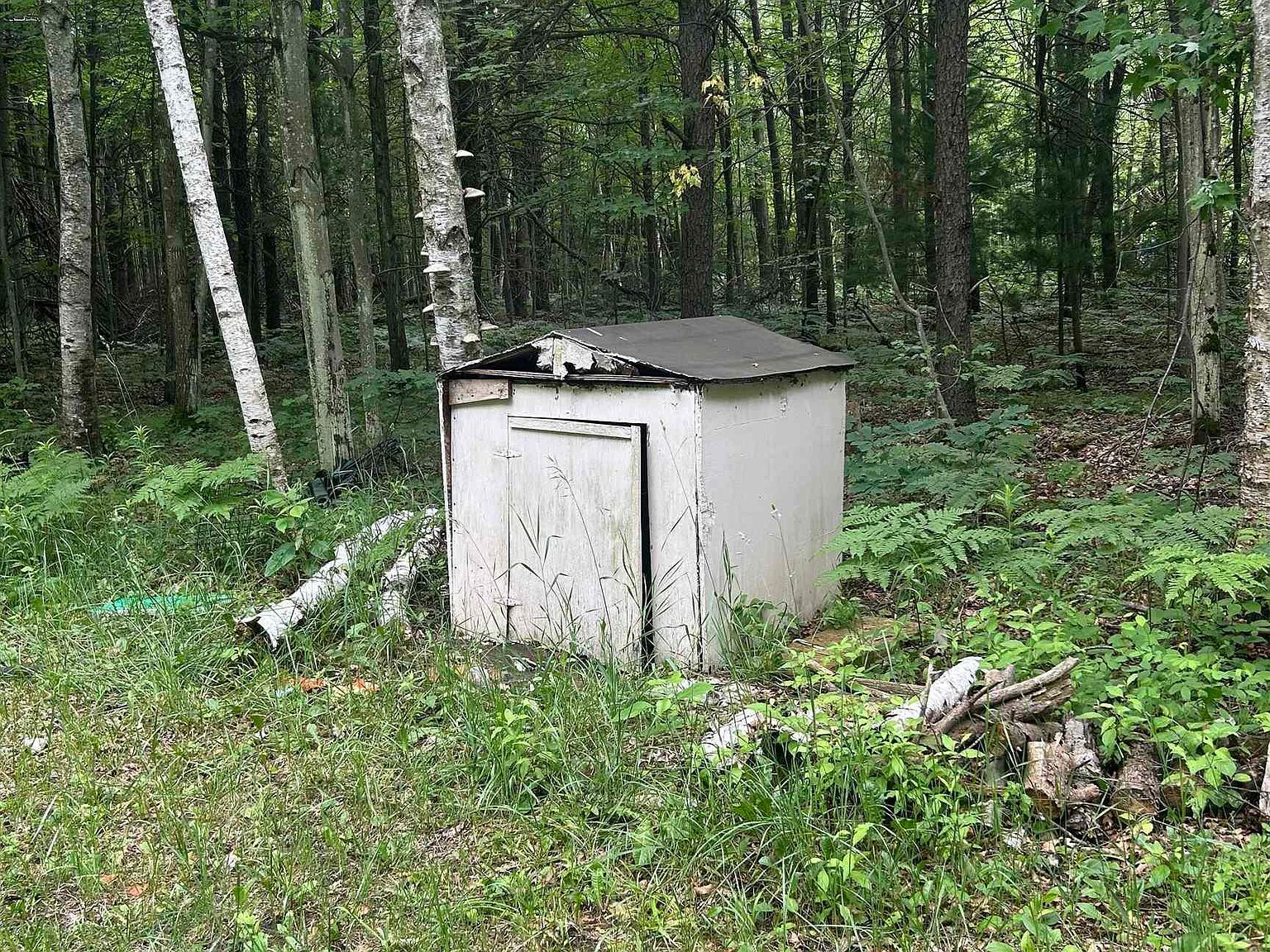 Lots 64 & 65 Todd Dr Prescott, MI 48756 - Thumbnail 4