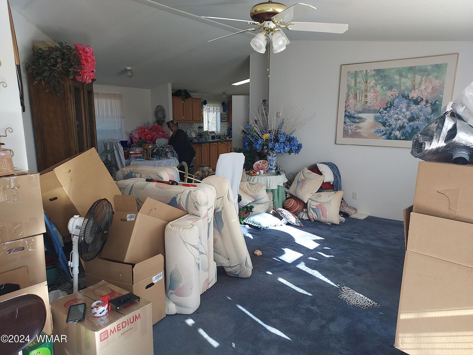 25 County Road 8206 Concho, AZ 85924 - Thumbnail 4