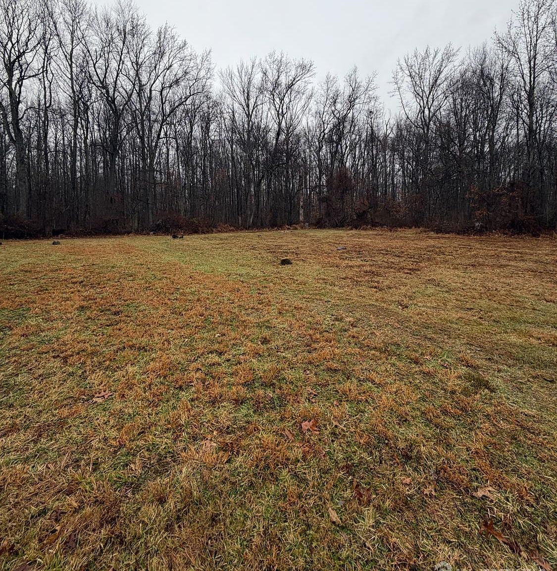 206 Broadway Rd Cranbury, NJ 08512 - Thumbnail 4