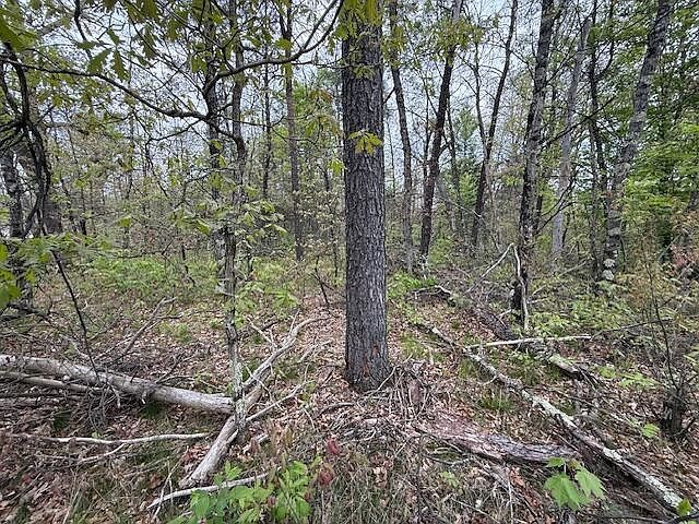 Vl Mount Vernon Ave Idlewild, MI 49642 - Thumbnail 4