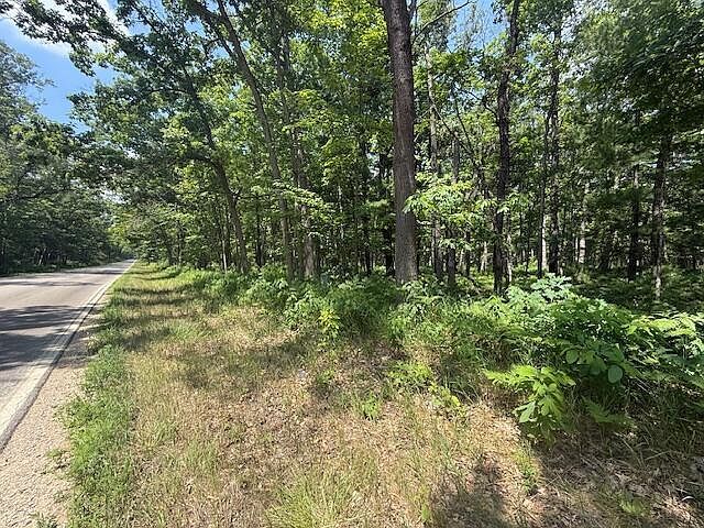 W Cleveland Dr Bitely, MI 49309 - Thumbnail 4