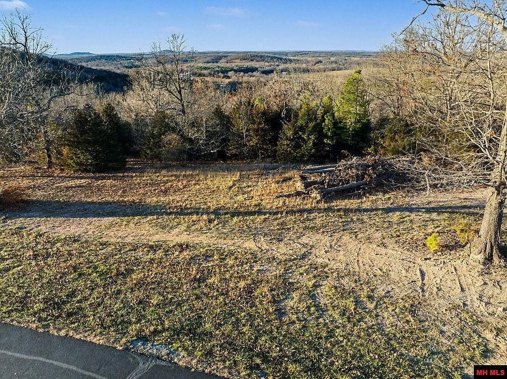 010-11219-014 Denmark Cir Mountain Home, AR 72653 - Thumbnail 4