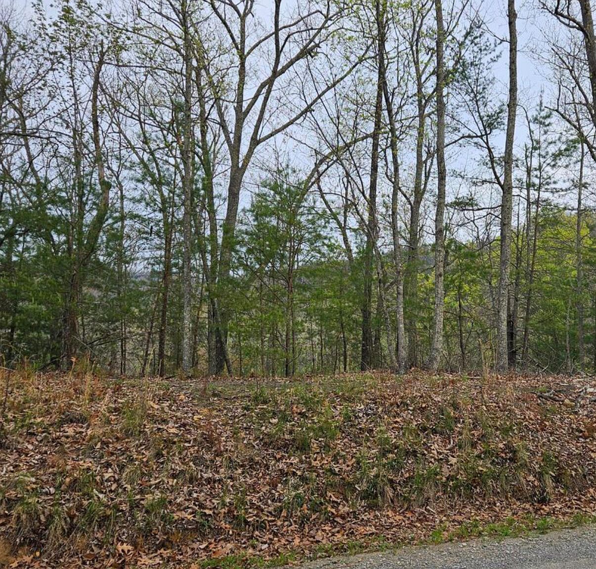 40 Hickory St Sevierville, TN 37876 | Land/Lot