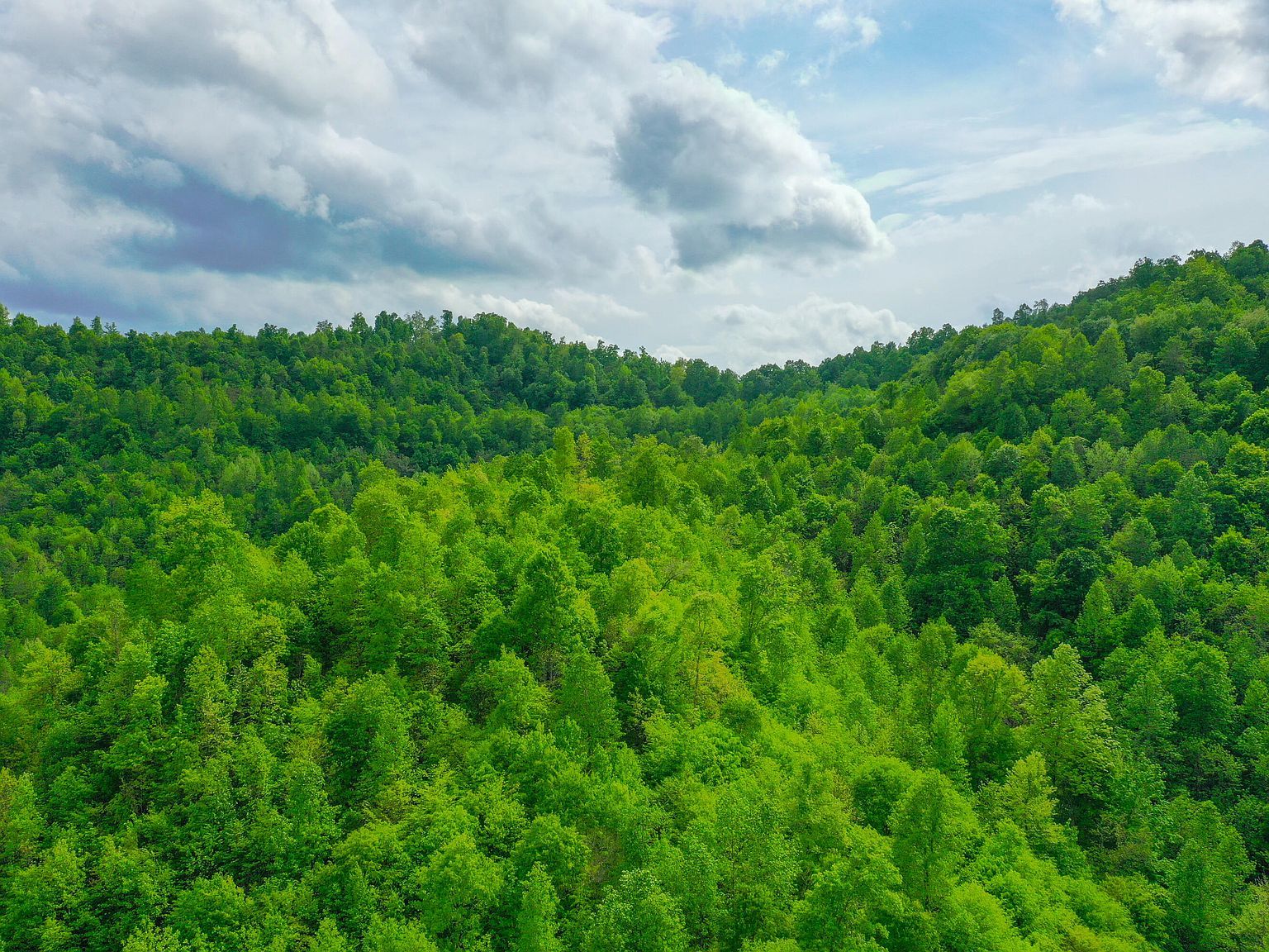 9999 Toby Rd LOT 6 Manchester, KY 40962 - Thumbnail 4