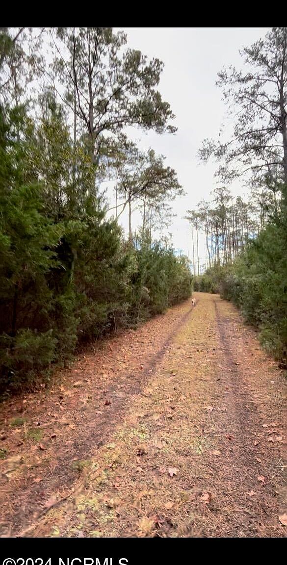 150 Styron Creek Rd Sealevel, NC 28577 - Thumbnail 4