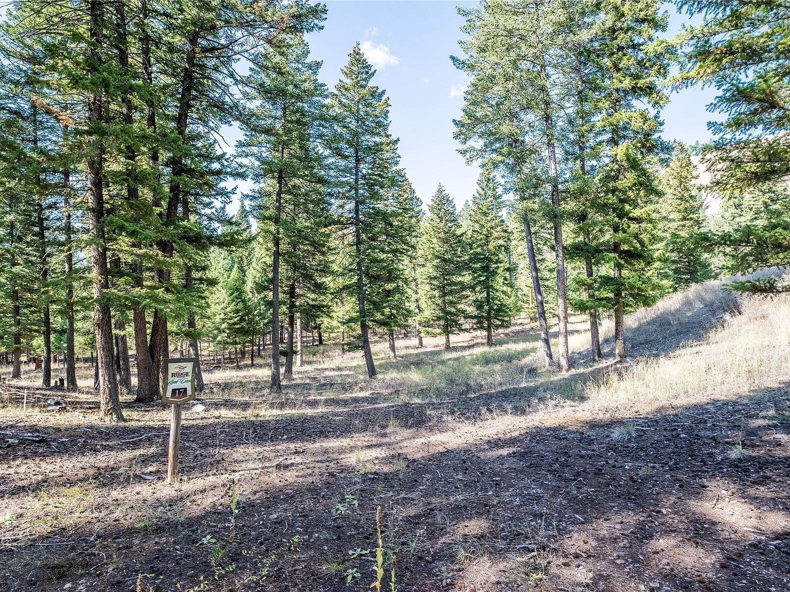 LOT 17 Caddisfly Ct Clinton, MT 59825 - Thumbnail 4