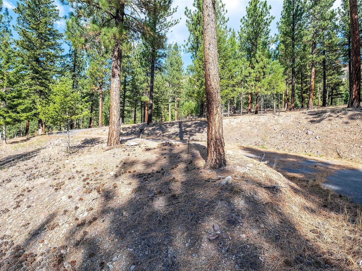 LOT 11 Stonefly Rd Clinton, MT 59825 - Thumbnail 4