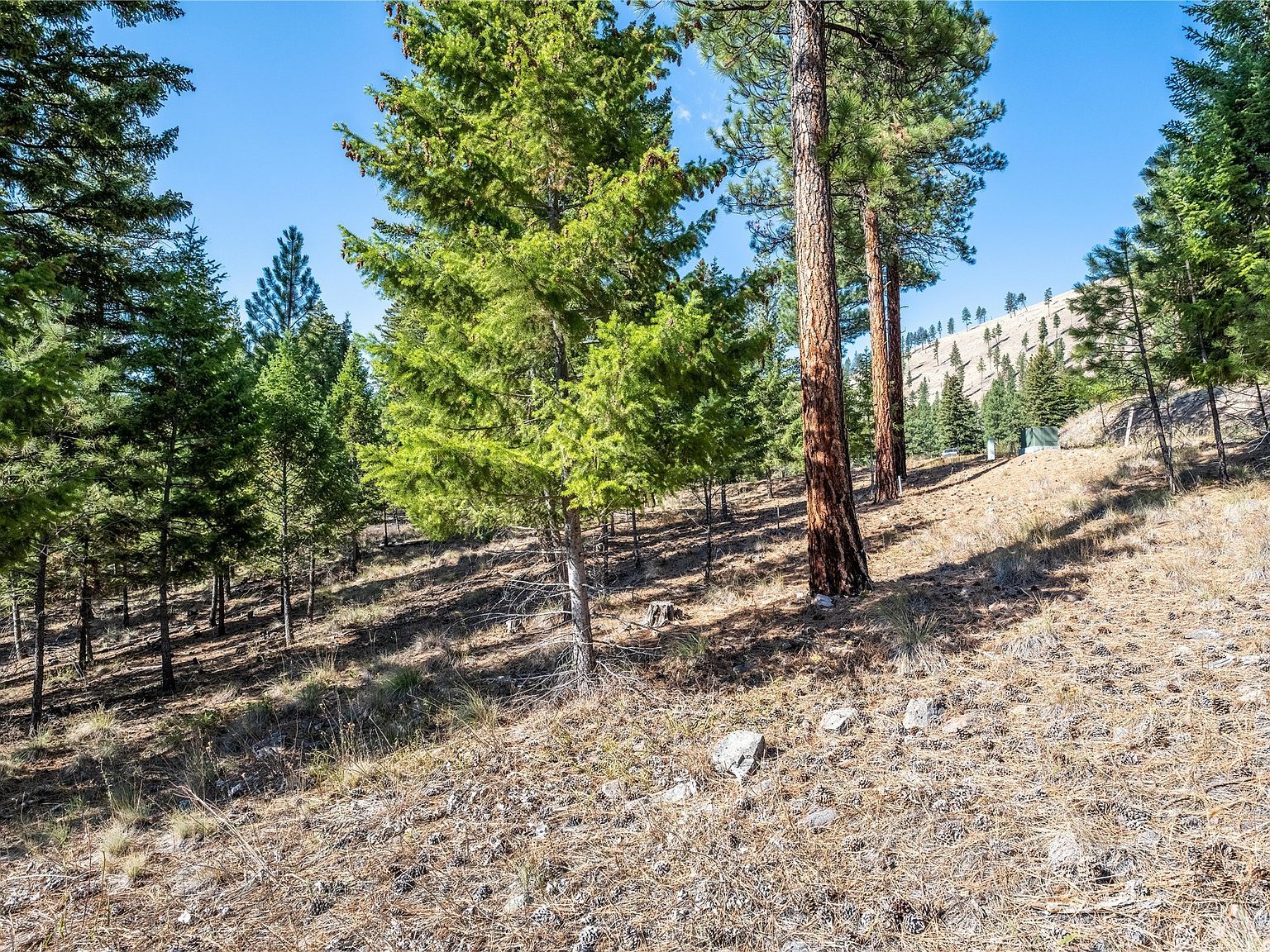 LOT 9 Stonefly Rd Clinton, MT 59825 - Thumbnail 4