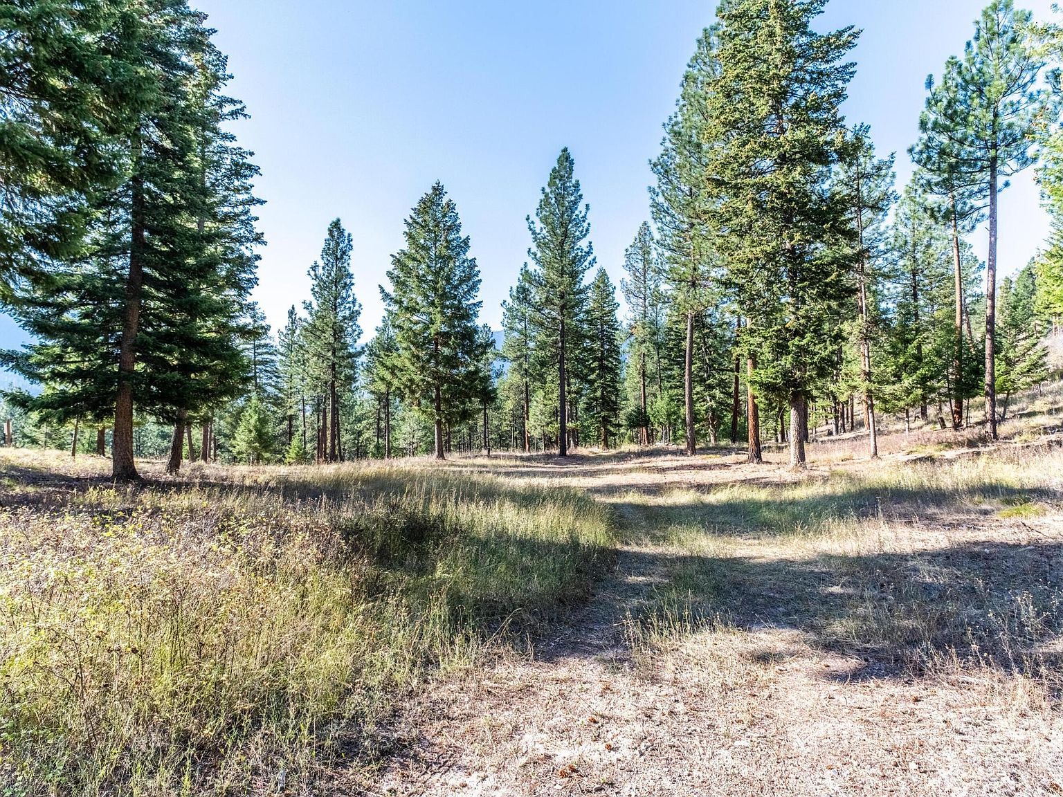 LOT 15 Muddler Ct Clinton, MT 59825 - Thumbnail 4